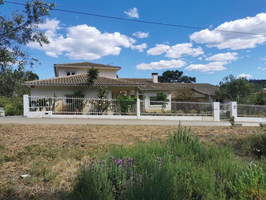 Cantinho Da Alice Family Villa Sertã Екстериор снимка