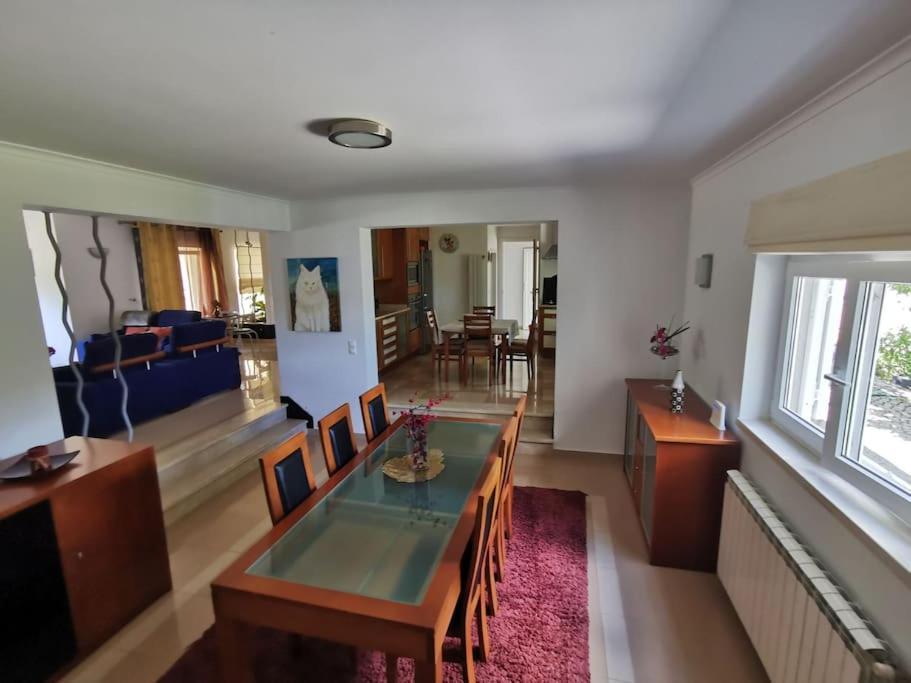 Cantinho Da Alice Family Villa Sertã Екстериор снимка