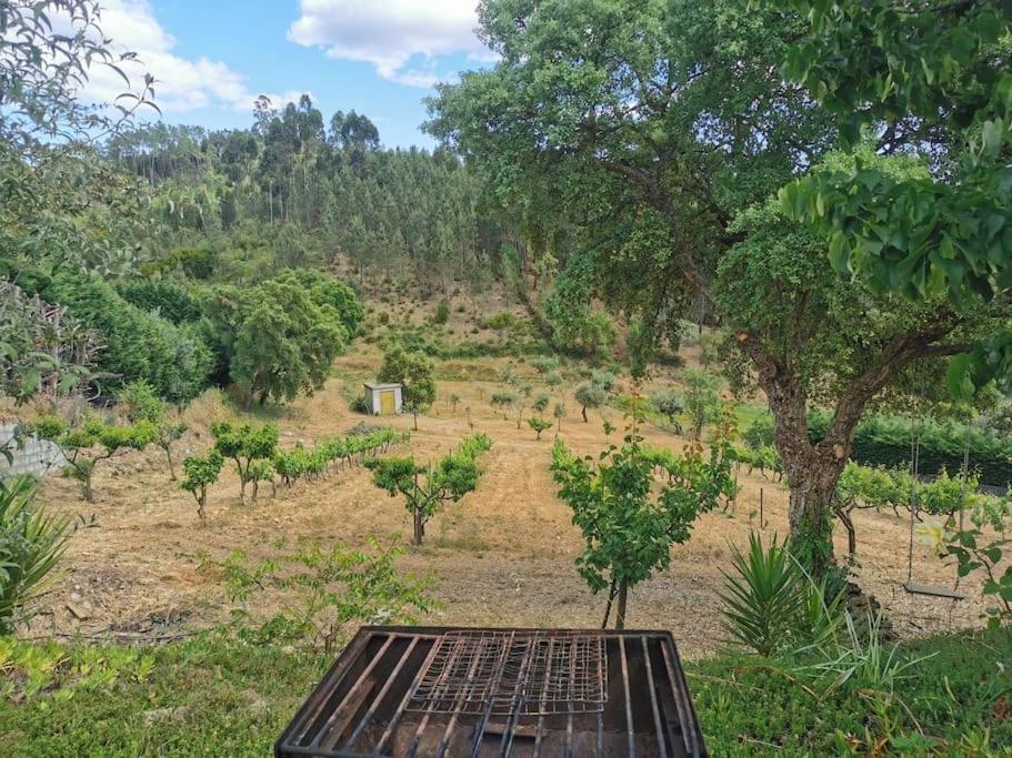 Cantinho Da Alice Family Villa Sertã Екстериор снимка
