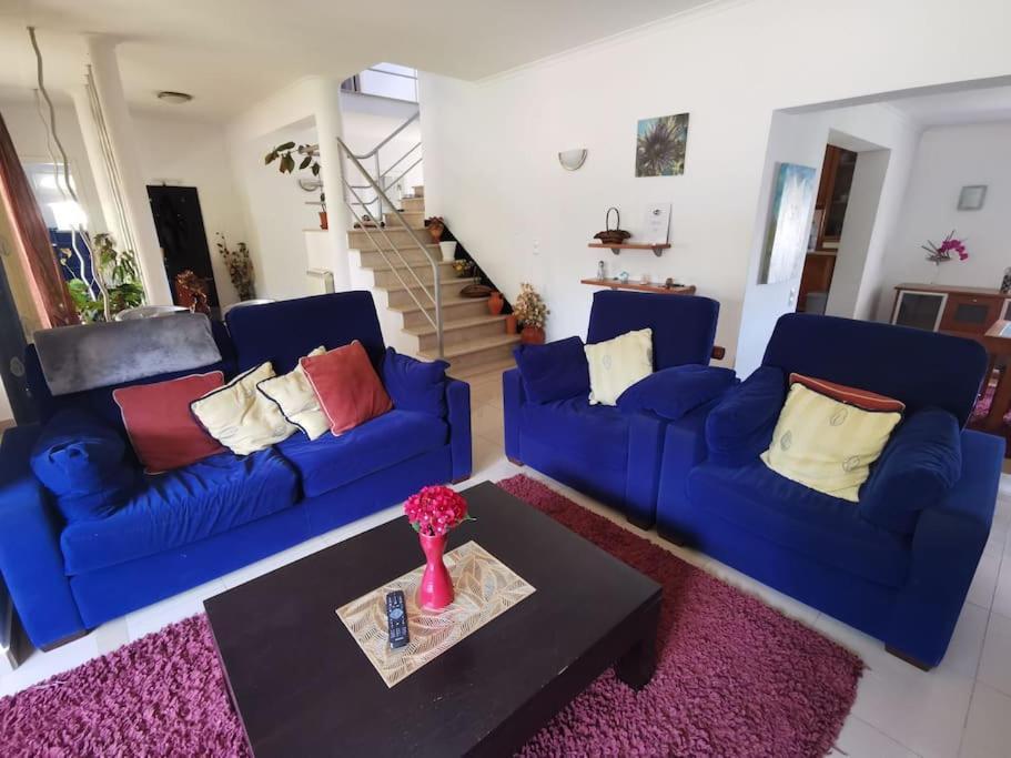 Cantinho Da Alice Family Villa Sertã Екстериор снимка